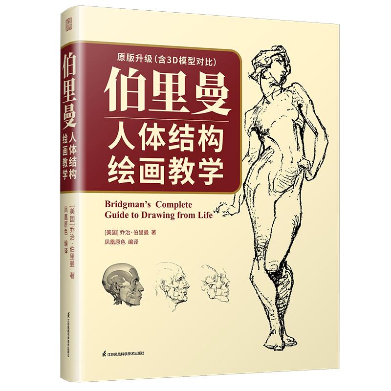 伯里曼人体结构绘画教学 素描书临摹画册入门教材书 理解人体形态