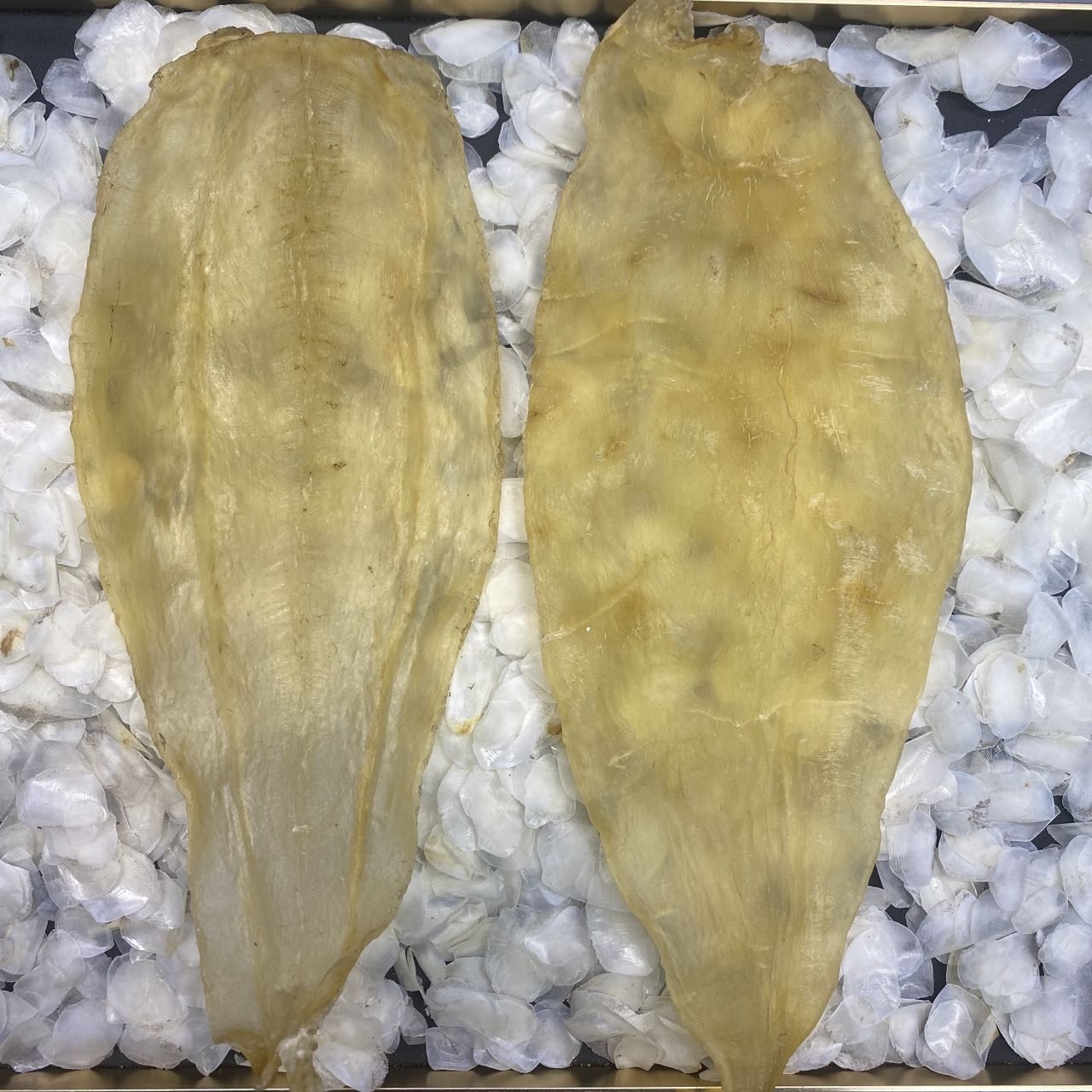 【汇珍海】野生竹叶胶鱼胶滋补花胶干货