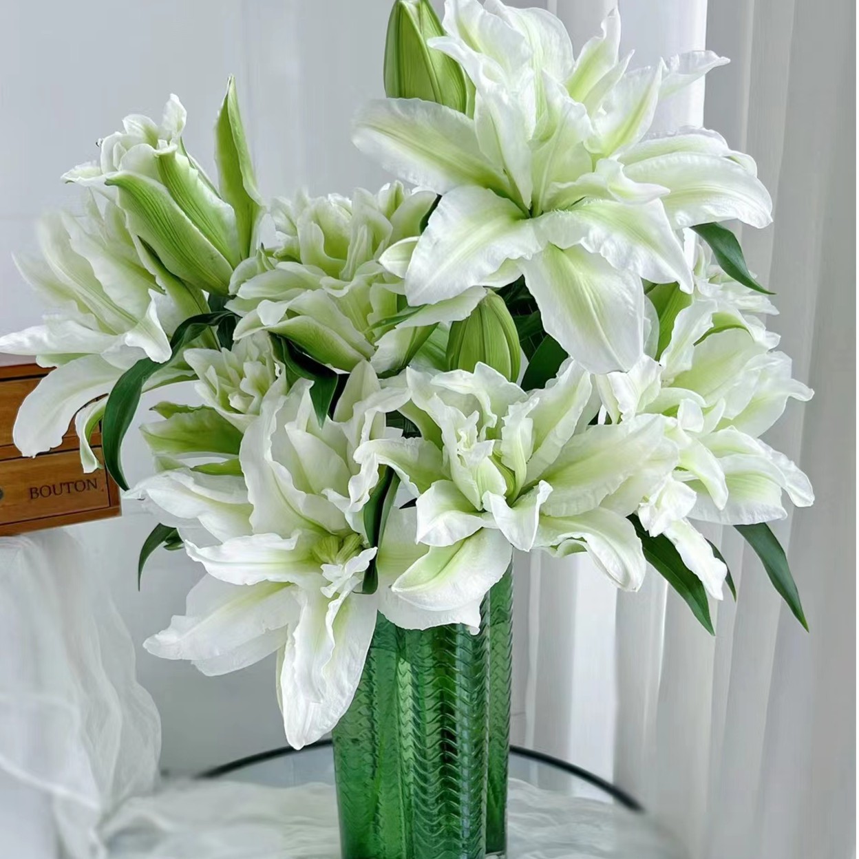 爱莎重瓣百合-开花抹茶色~到纯白色 云南基地直发任意两单起发