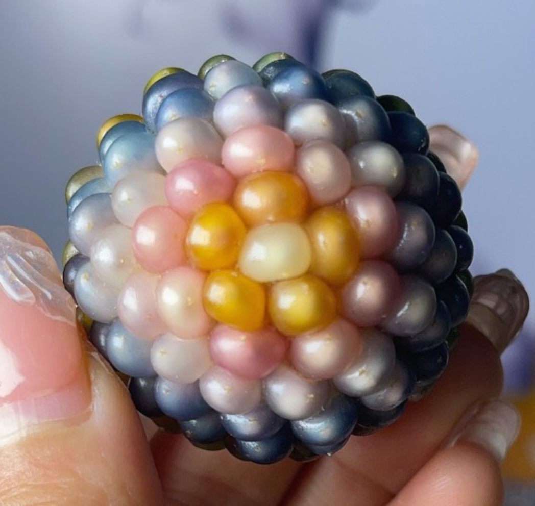 菩提本链接只提供直播使用一物一拍一价