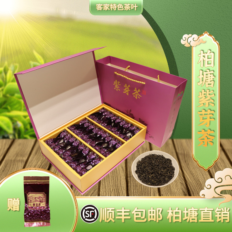 柏塘山茶夏季紫芽茶广东十大名茶惠州博罗特产手工好茶罗浮山茶叶