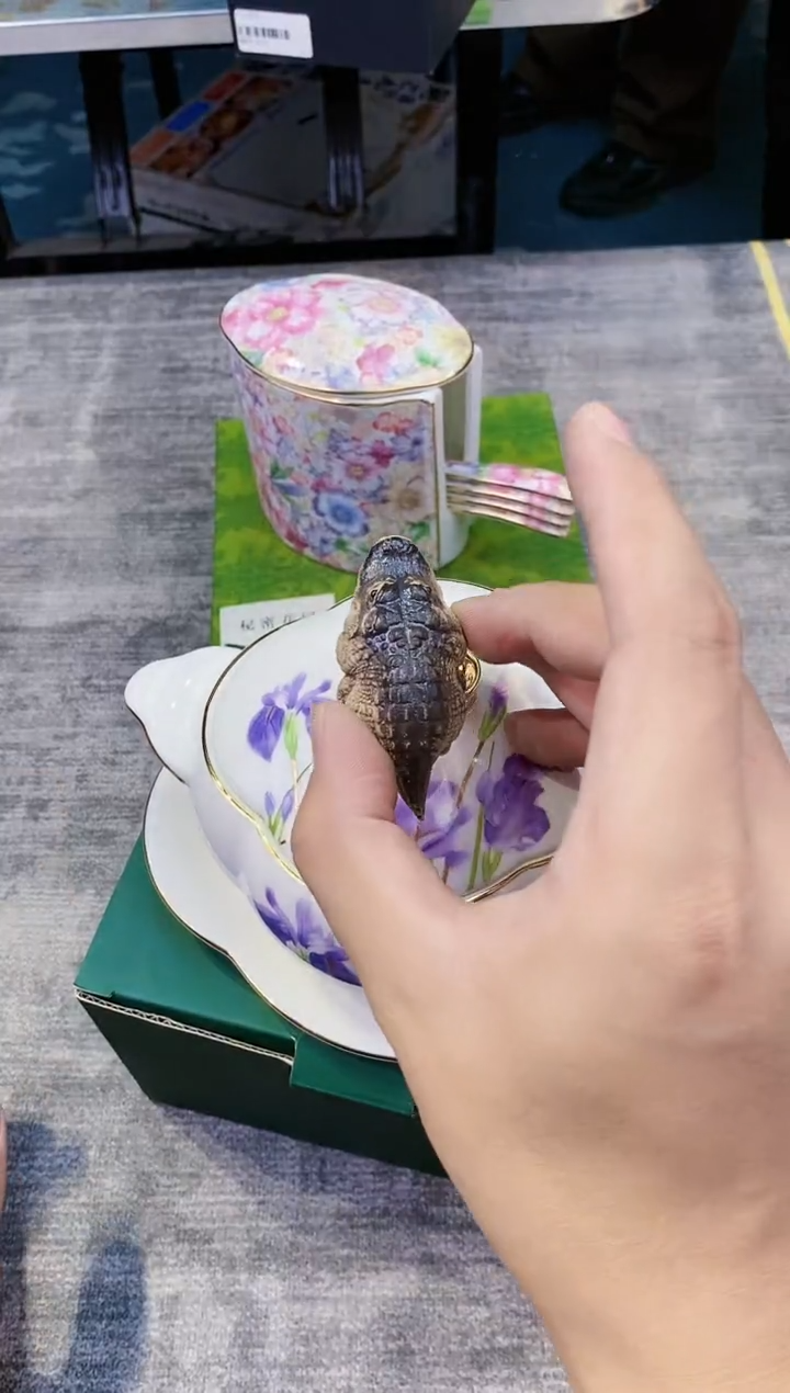【闪购商品】瓷片都是我的大宝贝儿瓷器
