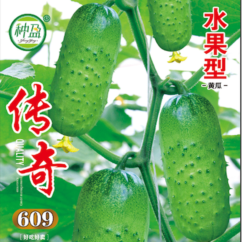 种盈传奇609水果黄瓜种子