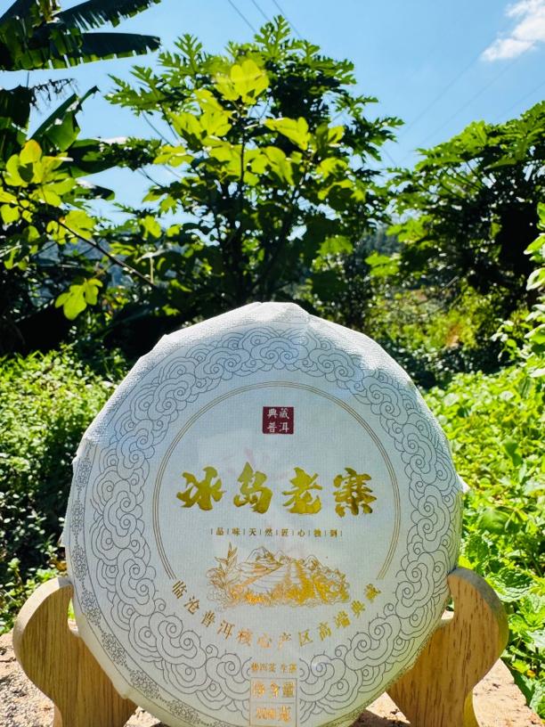 22年春冰岛老寨古树茶饼 紧压茶200克