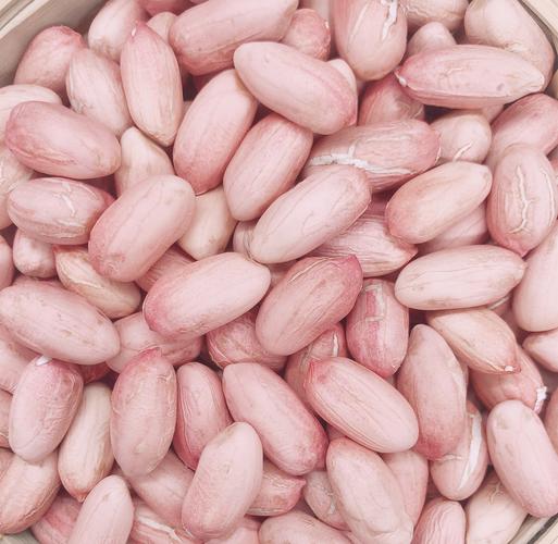 沂蒙山自己家用的花生米