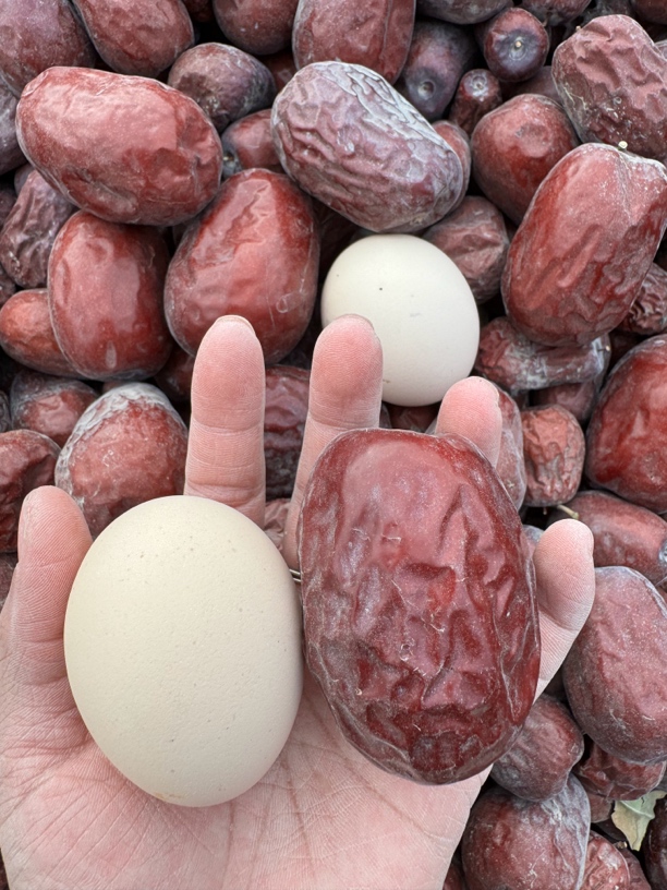 新疆和田红枣“特级枣王”原生态无清洗加工包邮直发