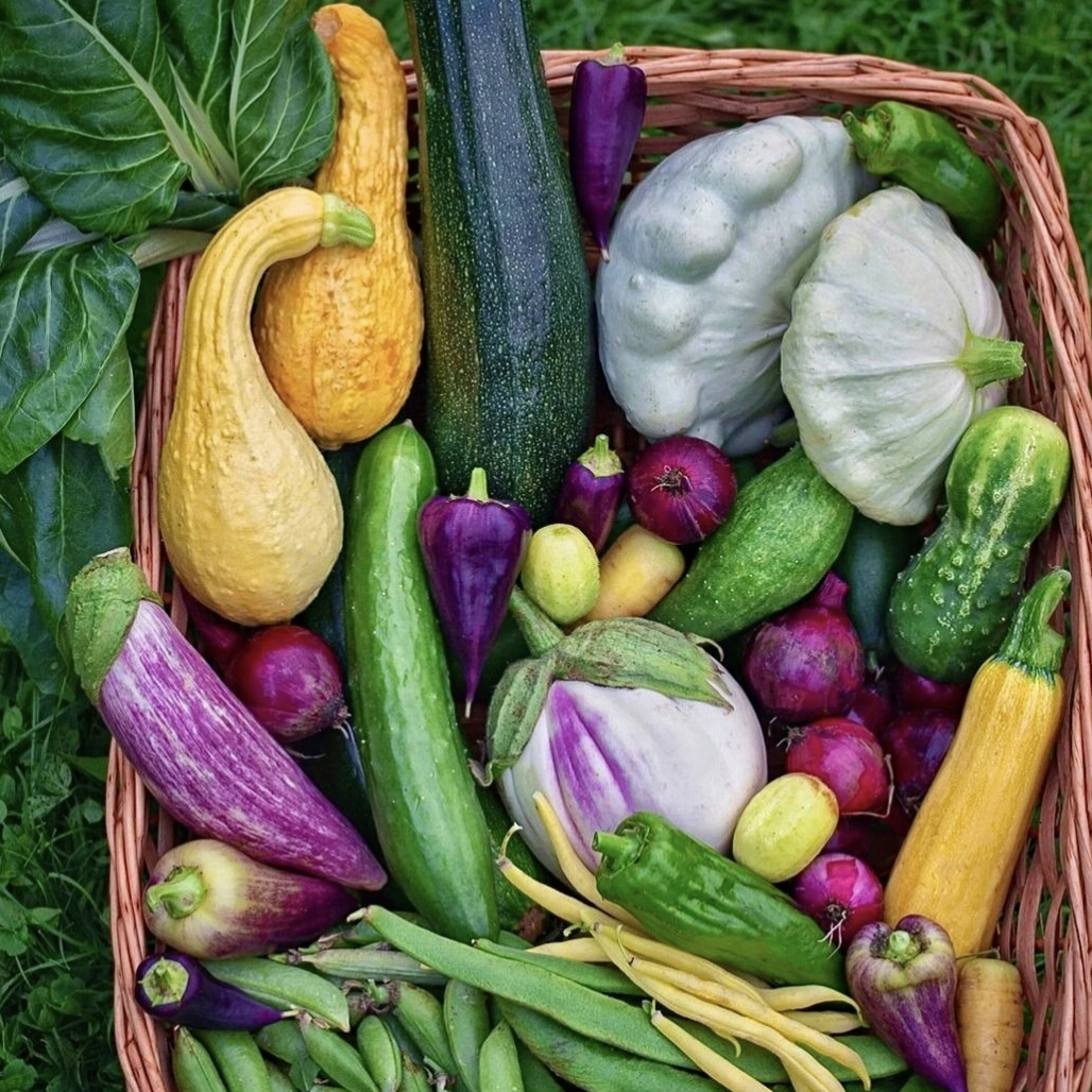 【小钱哥福利】农家蔬菜临时链接