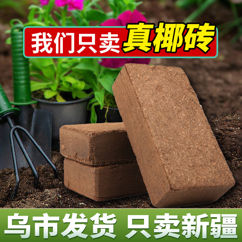 【新疆发货】椰砖土通用型营养脱盐椰砖盆栽种植专用土壤种菜种花土商品图