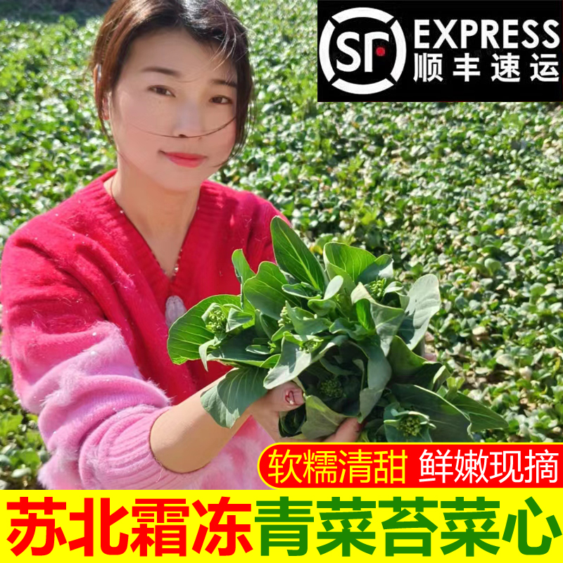 【顺丰】苏北霜冻青菜苔新鲜青菜心现摘现发蔬菜
