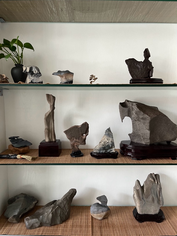 戈壁石 泥石 奇石 象形石  沙漠漆 摆件 多样性直播定制，机选发货