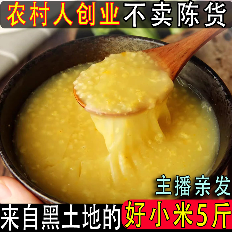 黄小米东北农家自产5斤散装10斤真空五谷杂粮孕妇月子米营养粥米