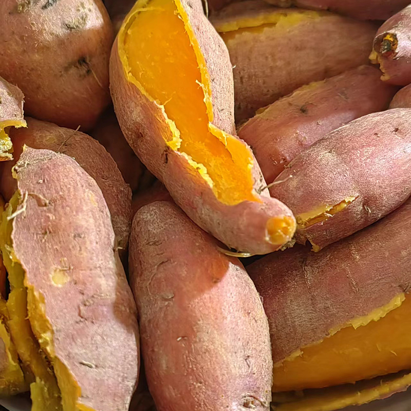 广东韶关南雄生鲜红薯番薯农产品现挖超甜糖心沙地地瓜5斤净重