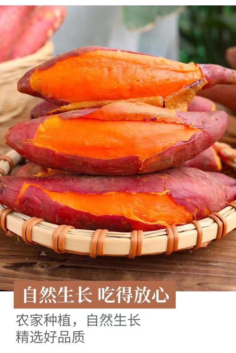 江西赣州信丰农家红薯红皮红心现挖现发