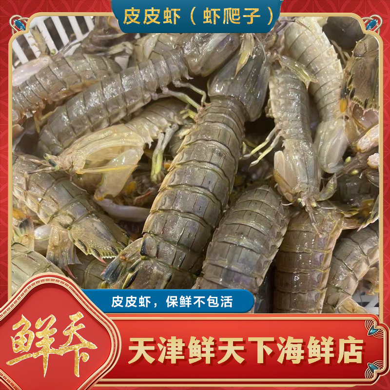 【保鲜不保活】黄毛皮皮虾 一斤13-14条左右 2斤起拍 天津发货