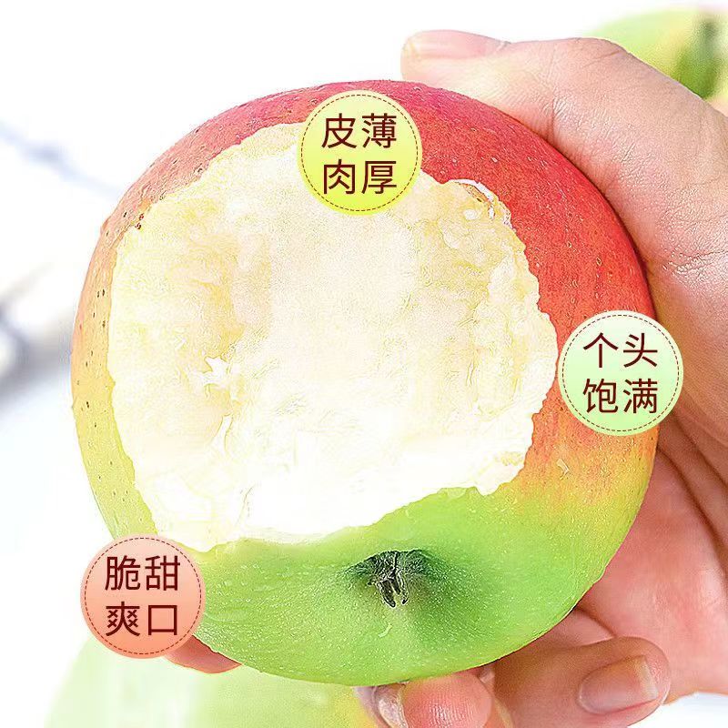 【嘉鑫】陕西嘎啦苹果水果新鲜当季整箱10斤嘎拉青红小平果包邮