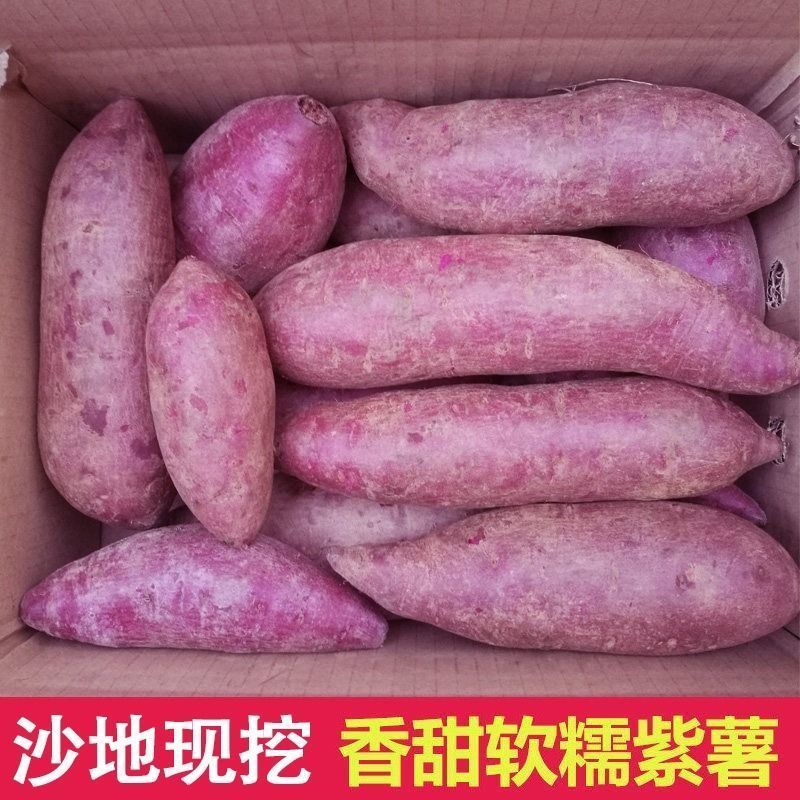 【嘉鑫】沙地紫薯新鲜紫罗兰 香甜粉糯红薯紫心蜜薯番薯烤地瓜烤红