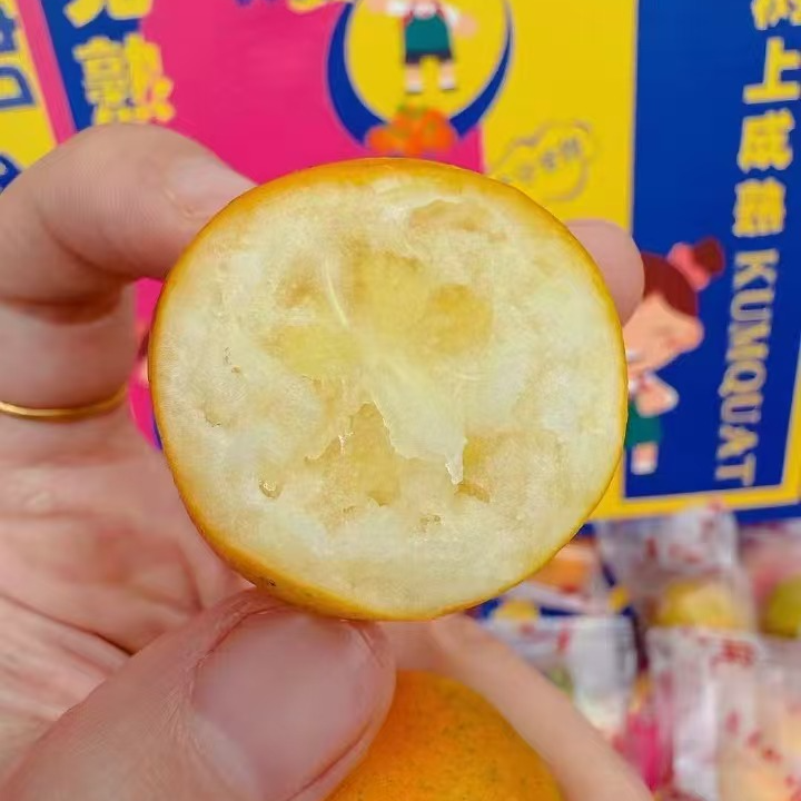 糖依金柑吃起如冰糖一样甜连皮一起吃果芯超甜礼盒装 表妹儿