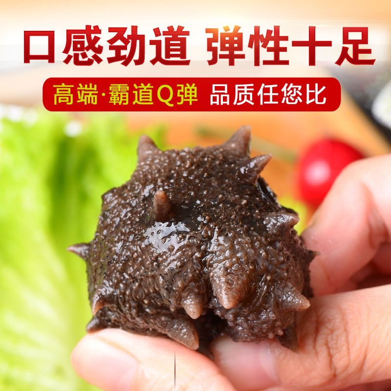 8A 三斤装 大连即食海参 一斤8-15个头 鲜食即食海鲜