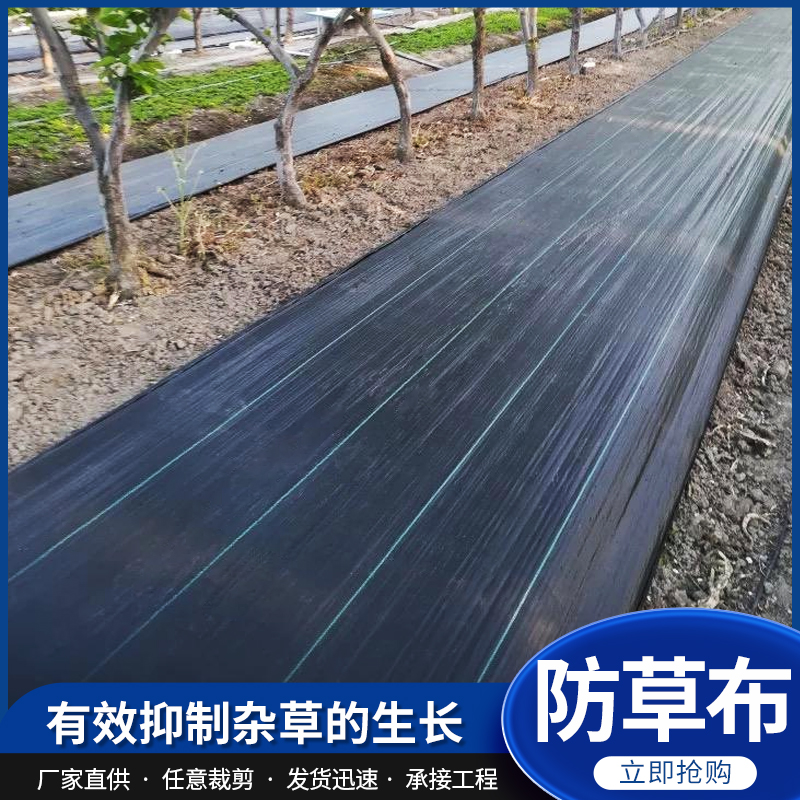 防草布农用果园黑色除草布抑草布透气渗水绿色园艺地布可打孔