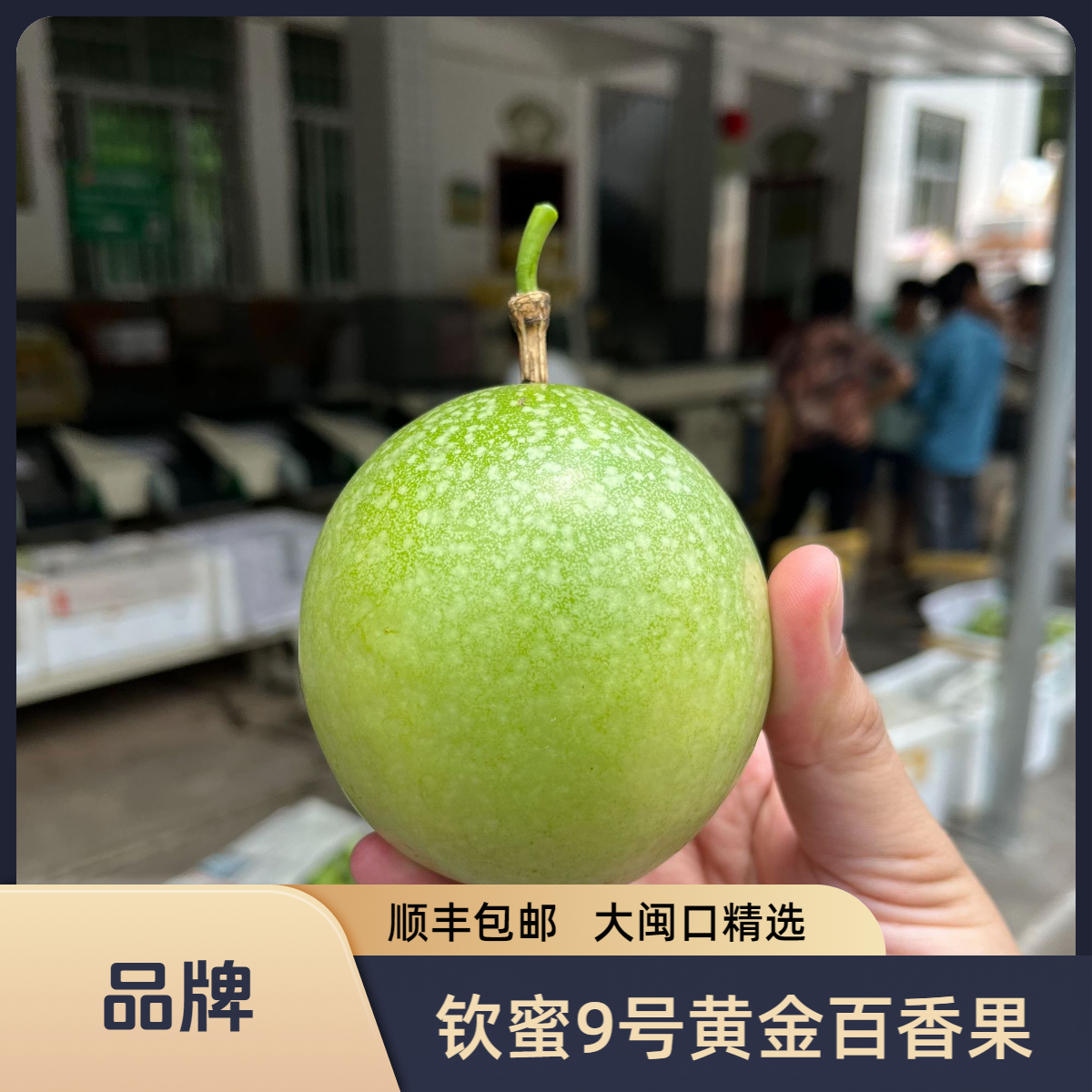 大闽口【自营】品牌精选古竹钦蜜9号黄金百香果2/3/5斤天然新鲜水果