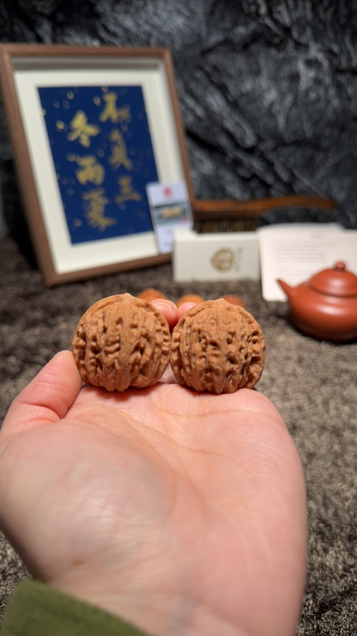 文玩核桃 原树龙胆元宝3058号36尺寸