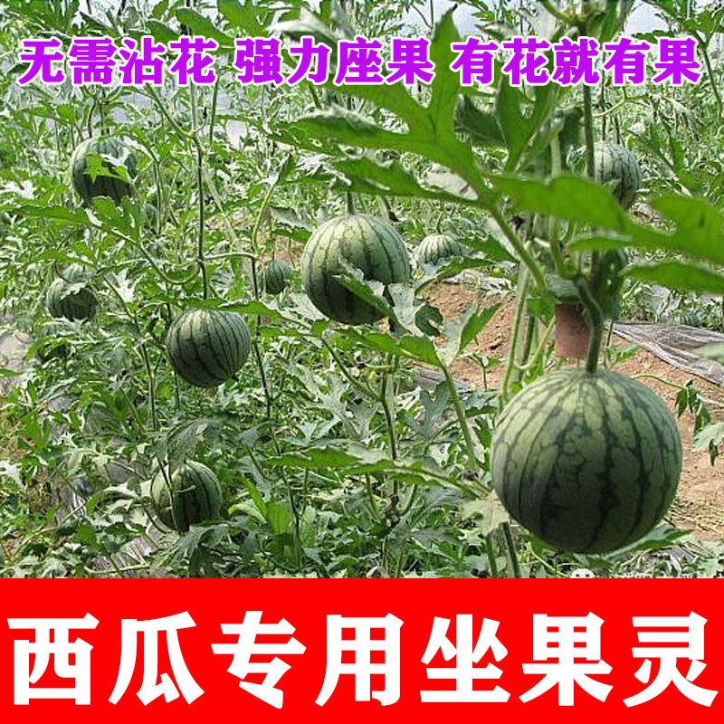 硕达西瓜坐果灵座果王西瓜专用授粉免对花产品阴天不影响坐果