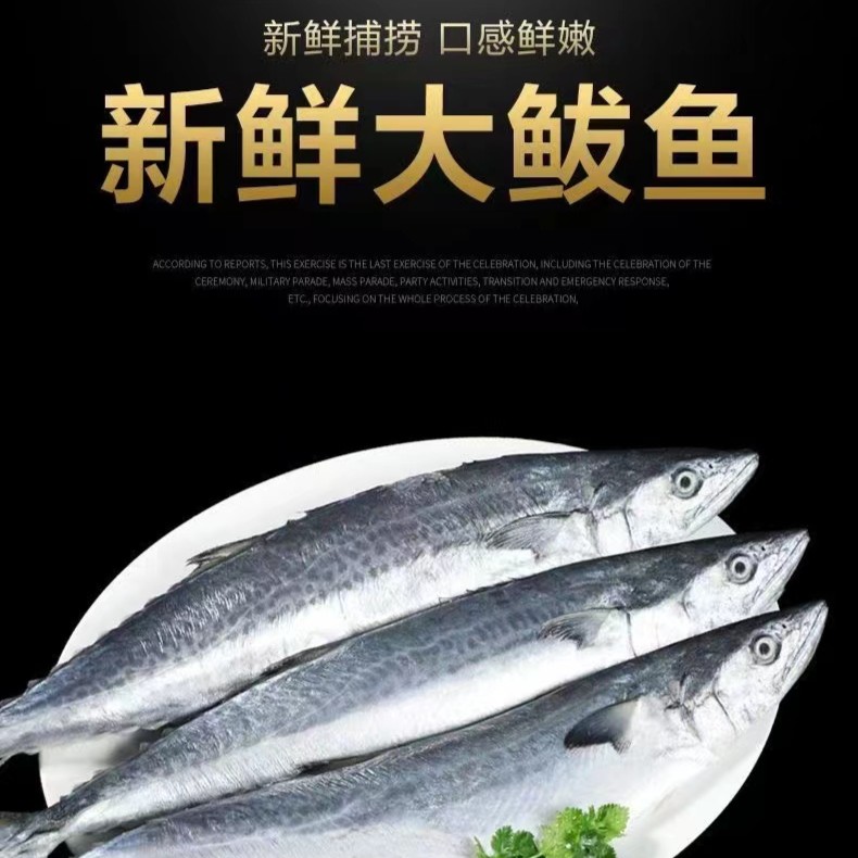 速冻海捕鲅鱼马鲛鱼（介意破肚勿拍）净重4斤（每条1斤-1.5）威海发货