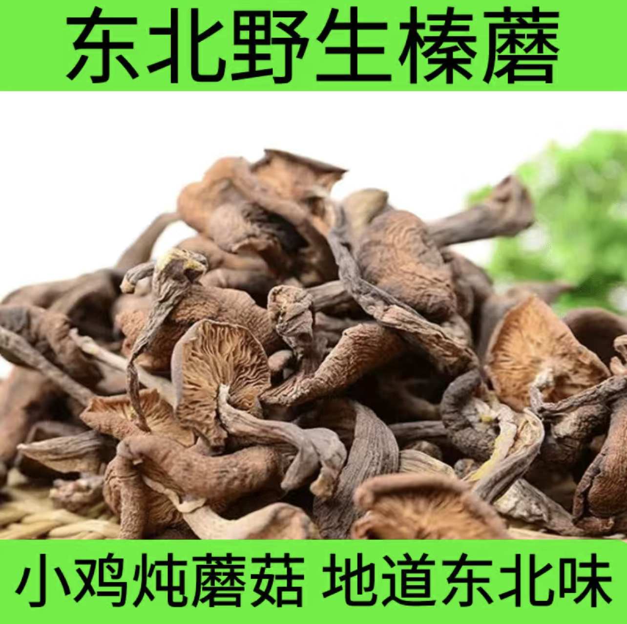 新货东北土特产野生榛蘑