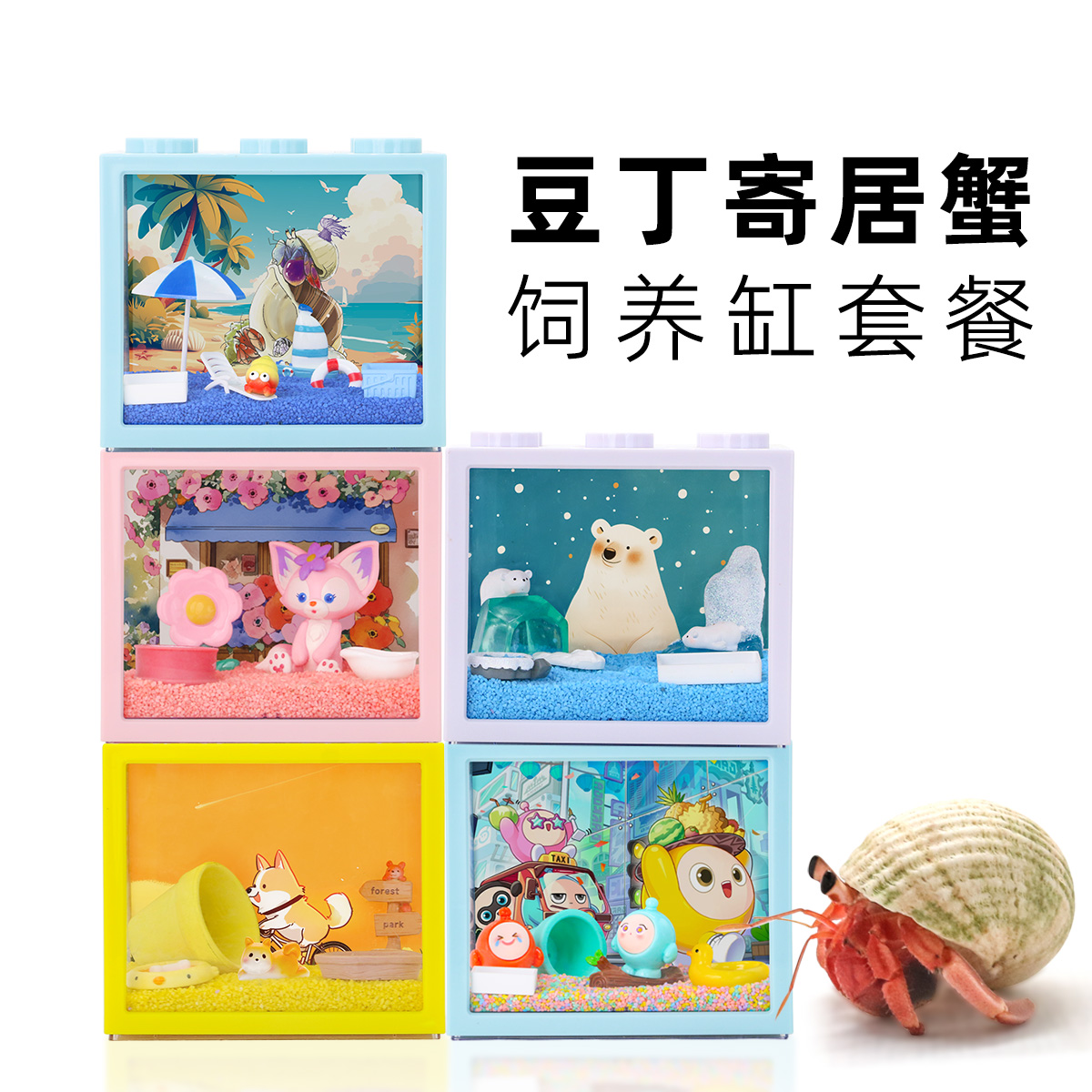 【新奇宠物】寄居蟹新手套装套餐小豆丁寄居蟹饲养盒寄居蟹饲养箱