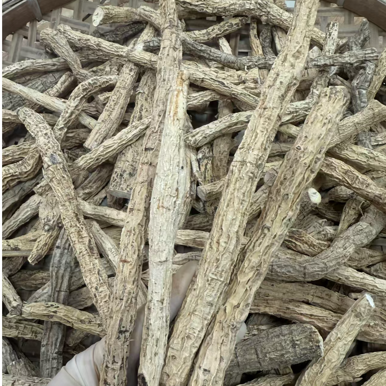 正宗牛大力干货整条整根