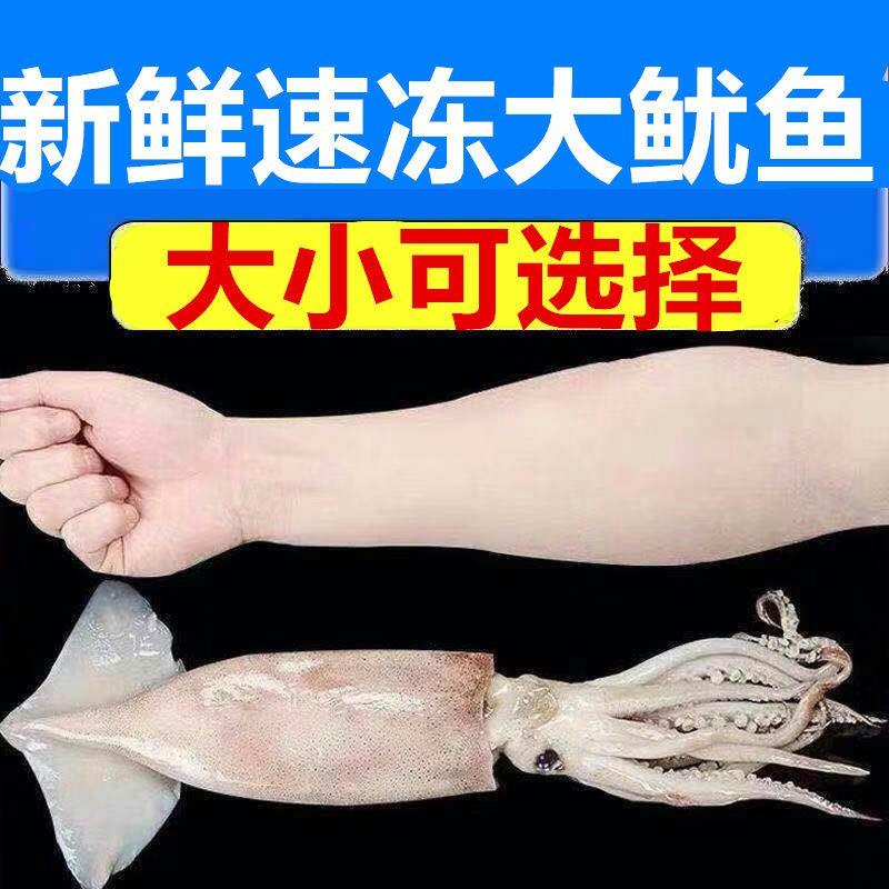 【整箱10斤】新鲜冷冻大鱿鱼冻鱿鱼整只深海捕捞海鲜烧烤批发1斤