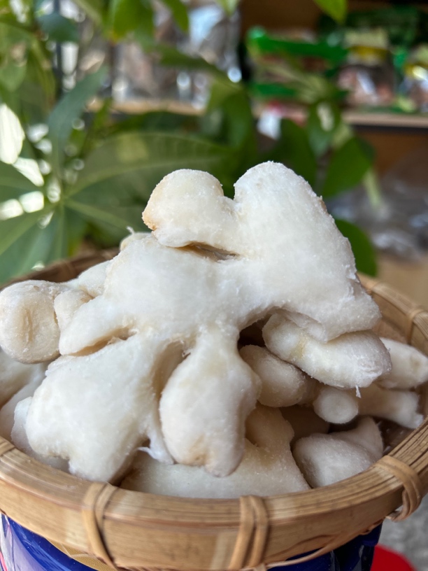 偏咸纯盐姜500克/1500克纯盐姜咸起盐霜