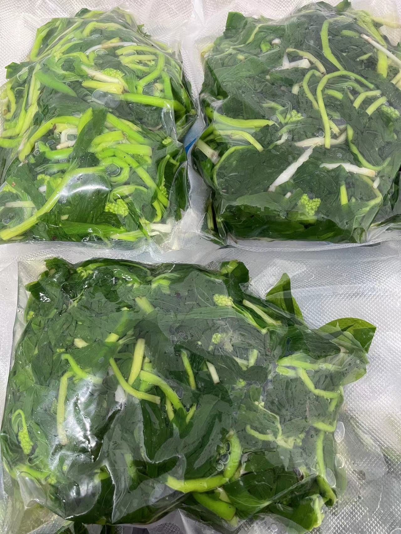 东北野生山迷子 山野菜 水焯速冻发货