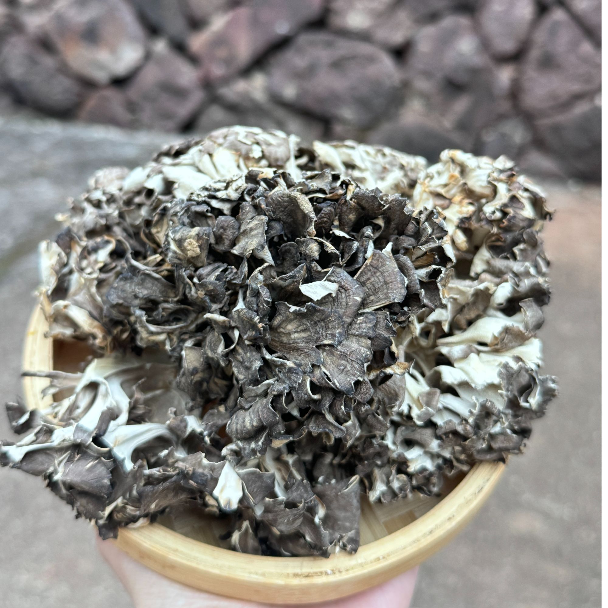 高山  农家 灰树花