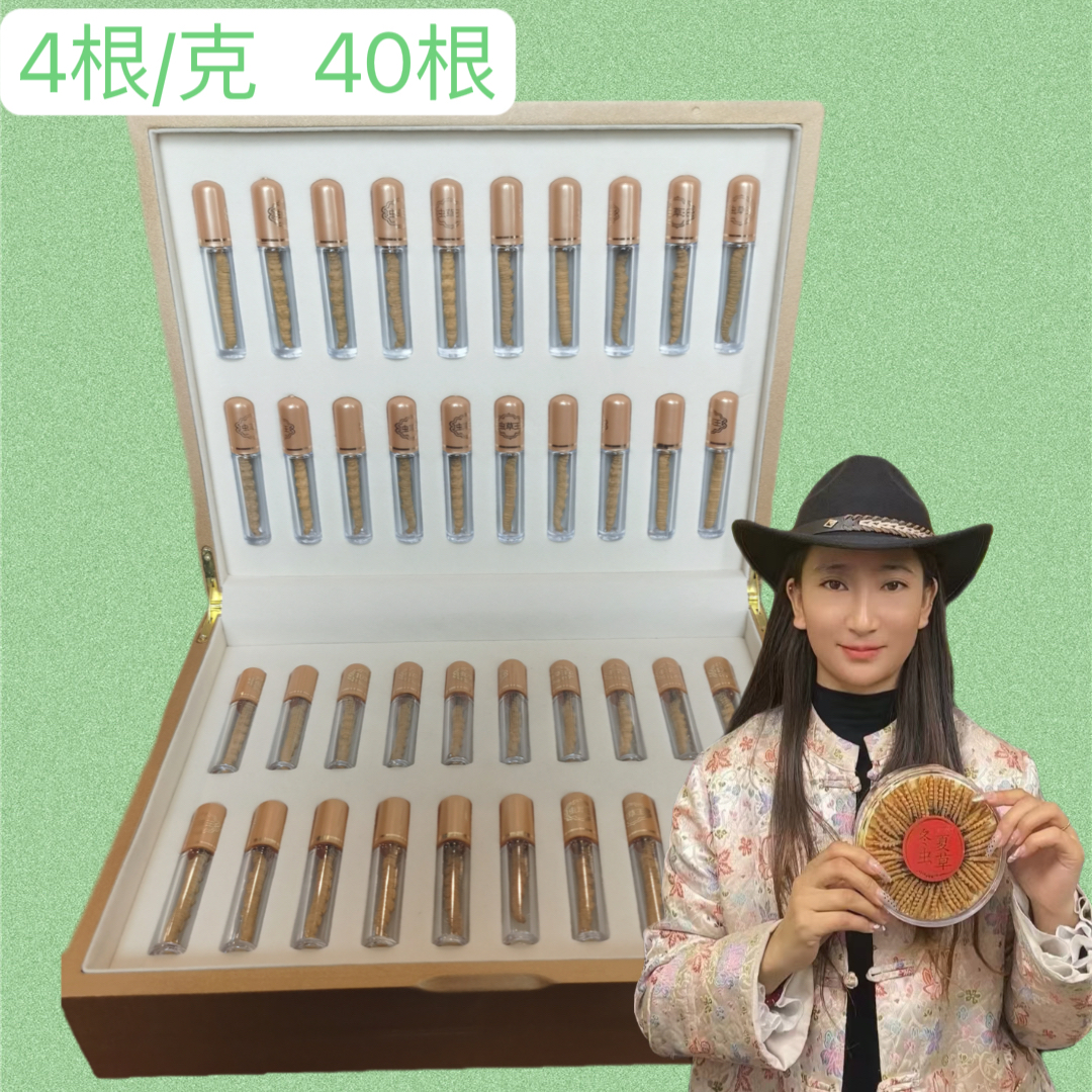 【更求专属】4根/克 40根 冬虫夏草2024精选头茬产地直发滋补佳品