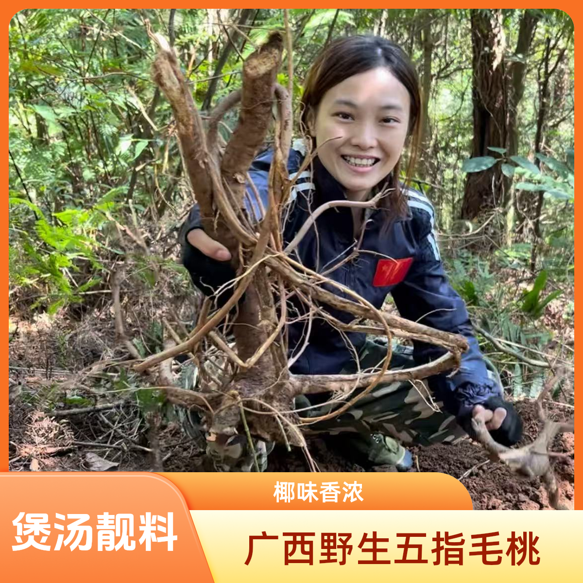 广西野生五指毛桃老树根茎煲汤泡酒靓料无熏硫纯天然