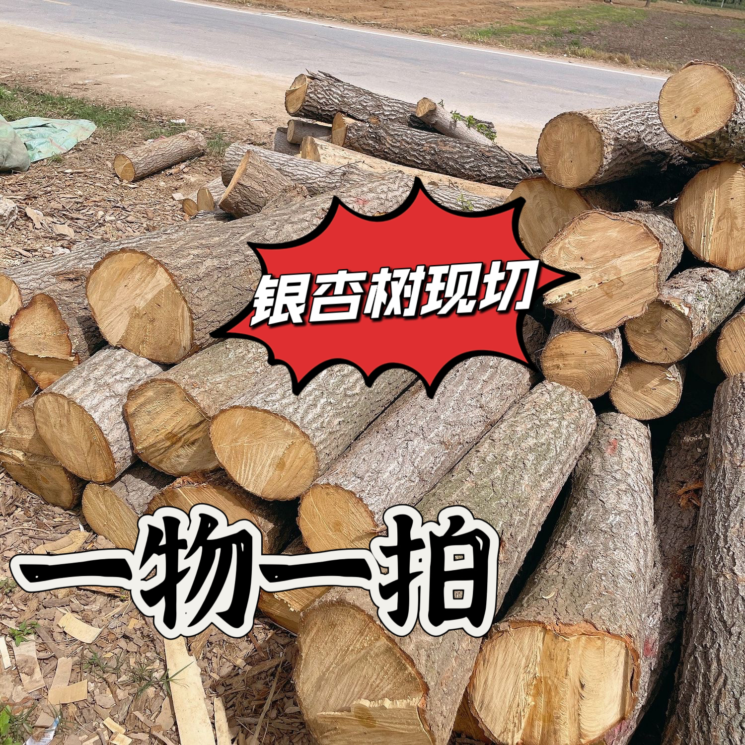 一物一拍正宗银杏菜板砧板实木家用加厚整木原木圆形
