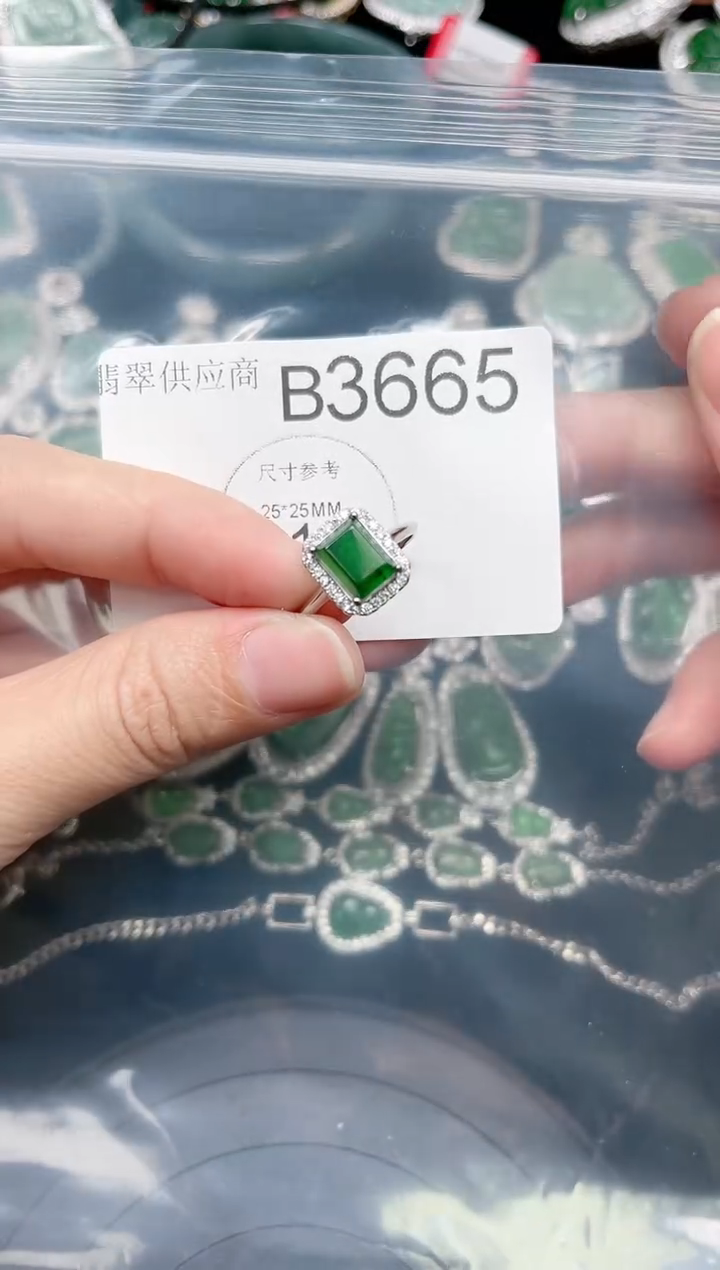 【闪购商品】翡翠颈饰未镶嵌赠皮绳3665