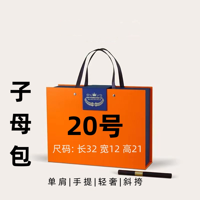 【20号】2023新款时尚百搭腋下大容量包包小子母包单肩斜挎