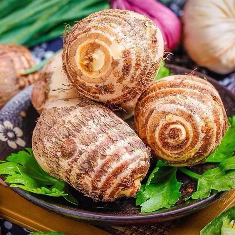 云南新鲜牛奶小芋头整箱3斤5斤9斤1斤农家自种毛芋头牛奶芋头香芋