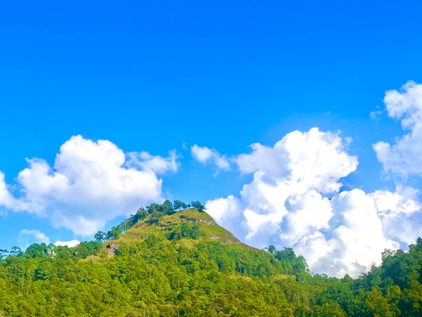 云南普洱山货改价链接