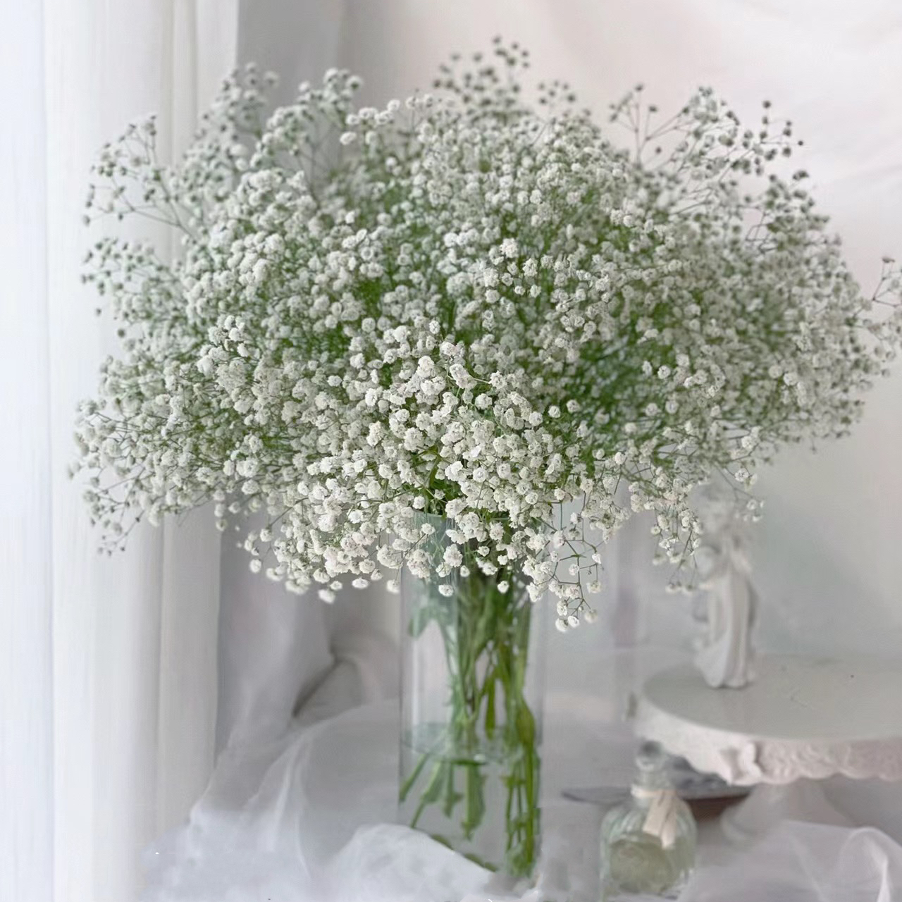 【源头一手价】白色满天星  众多鲜花的配角 浪漫纯洁  云南鲜花