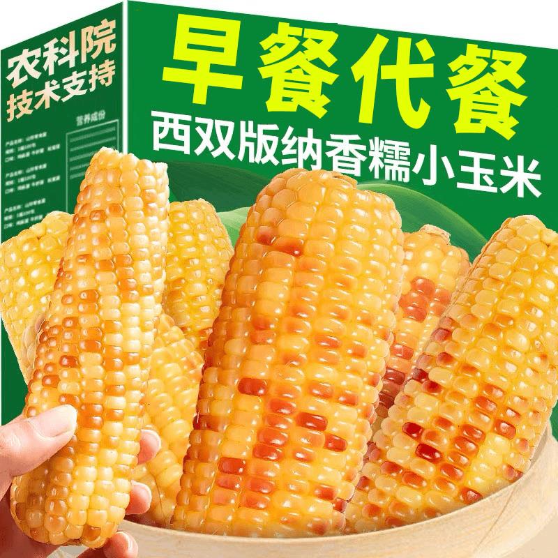 糯玉米云南西双版纳特产美食香糯小玉米即食真空非转基因新鲜黏糯
