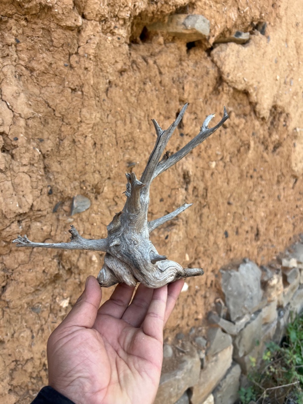 小坨子，造型的小坨子，精品文玩根雕摆件。