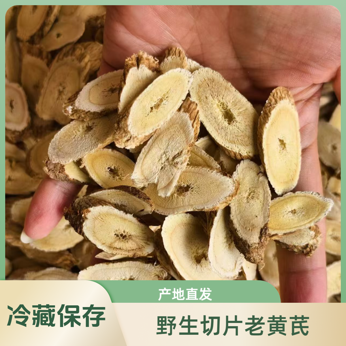 野挖切片老黄芪陕北子洲绥德产地直发【煲汤、煮粥、泡水】