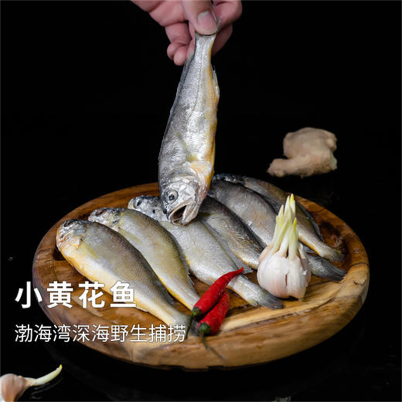 正宗鲜冻鲅鱼段/黄花鱼/带鱼段渤海湾深海野生捕捞4斤顺丰不注水