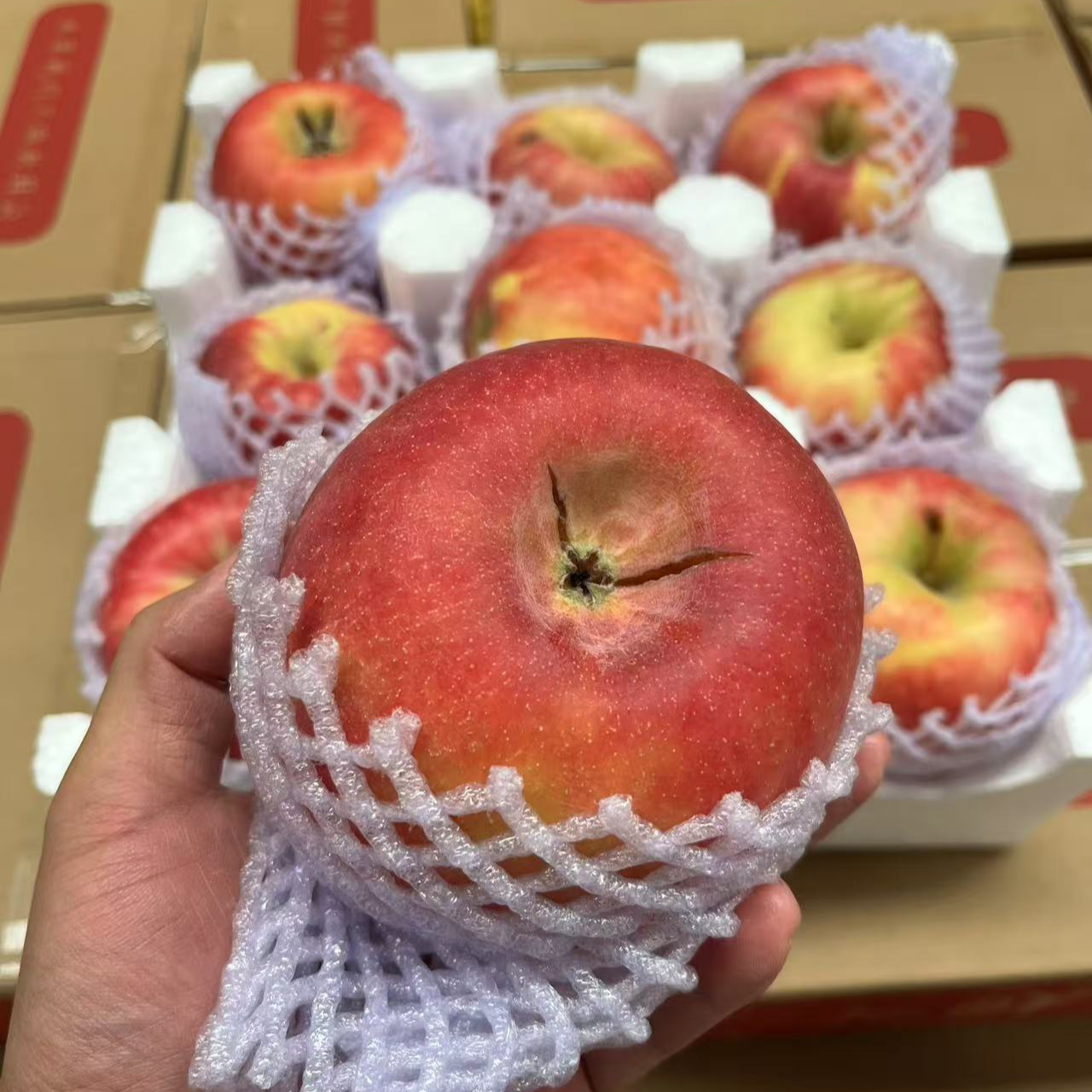 高次果陕西［秦脆苹果］不影响食用大小混装净重8.5斤脆甜多汁