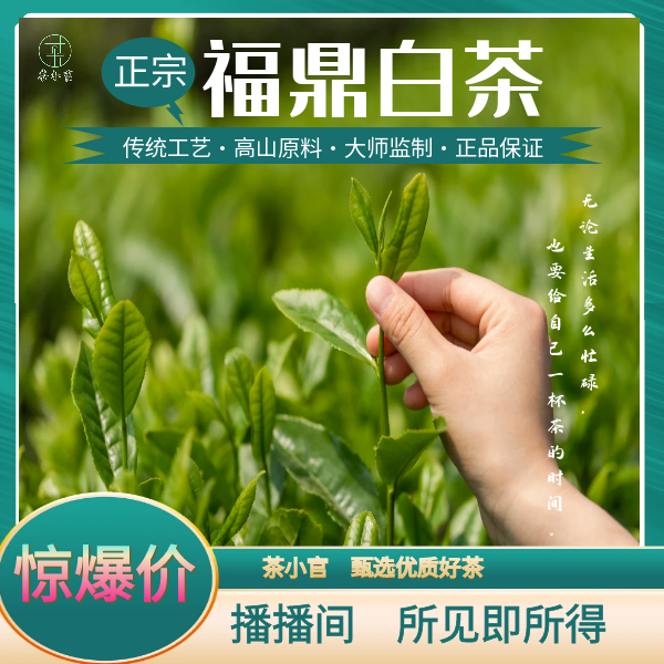 【白毫银针】  周鼎兴白毫银针 三次 方盒2025X赠送2盒流金岁月