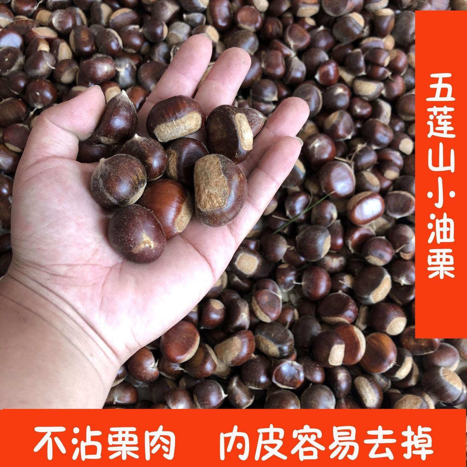 山东板栗野生五莲山板栗油栗黄心新鲜板栗甜糯1斤/2斤/3斤/5斤