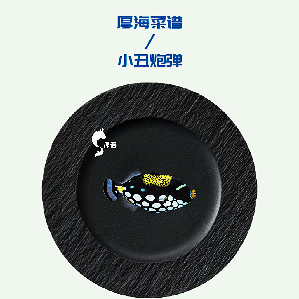 小丑炮弹海水鱼！！